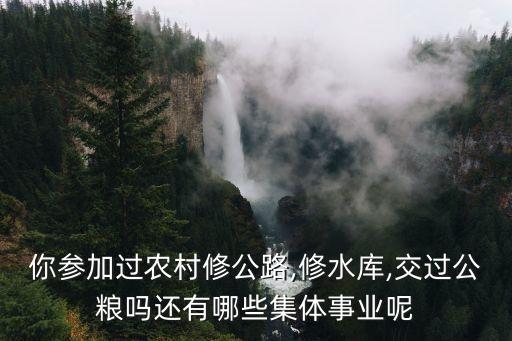 竹林機械道路修建...